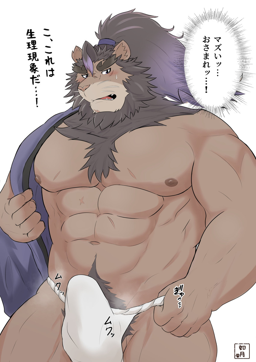 abs anthro asian_clothing blush brown_body brown_fur brown_mane clothed clothing east_asian_clothing erection erection_under_clothing fundoshi fur genitals hair japanese_clothing male mane muscular muscular_anthro muscular_male nipples pecs penis ponytail pubes solo text underwear kisaragi_syoo lifewonders live_a_hero toshu felid lion mammal pantherine absurd_res hi_res japanese_text