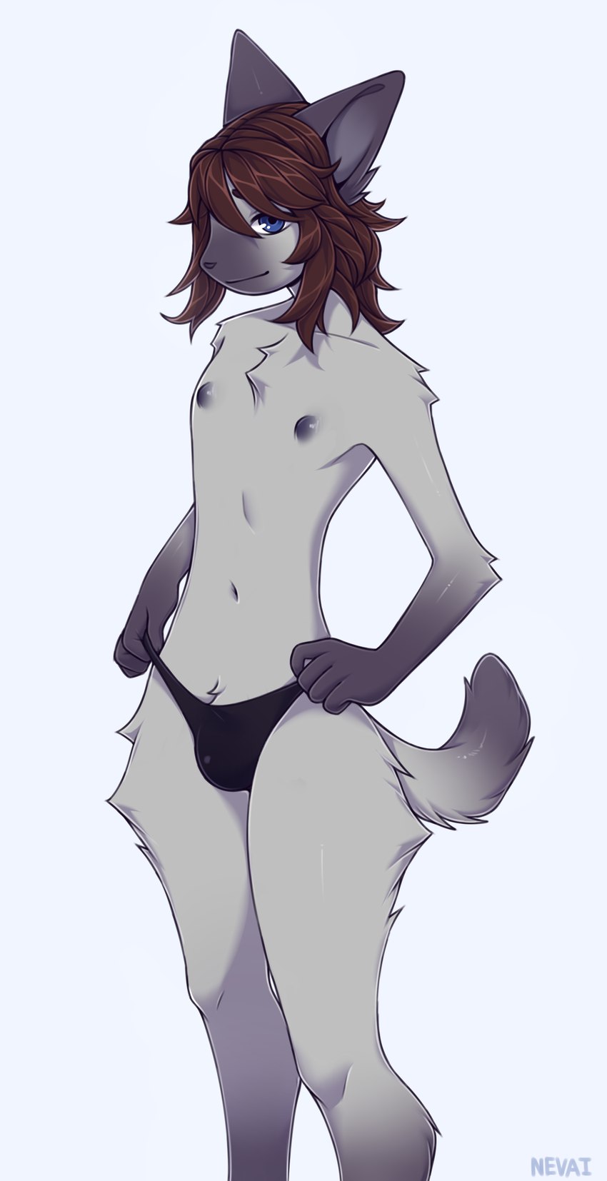 anthro blue_eyes brown_hair clothing femboy fur grey_body grey_fur hair looking_at_viewer male nipples panties panties_bulge purple_body purple_fur purple_nipples short_tail solo tail underwear nevai valery_funika domestic_cat felid feline felis mammal siamese absurd_res hi_res