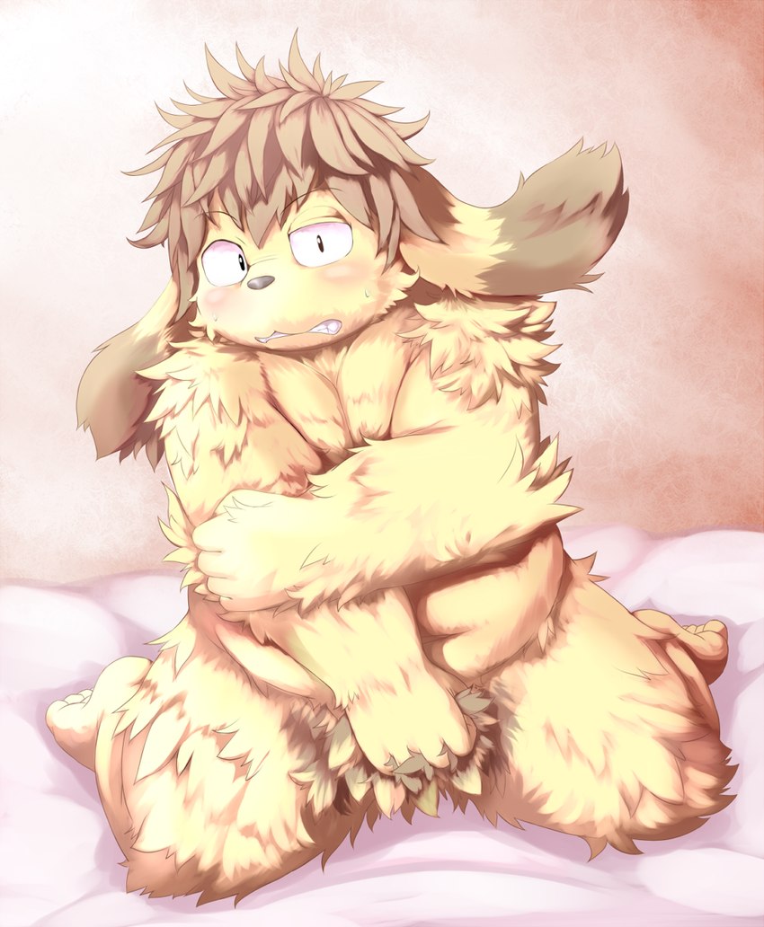 anthro bed belly biped black_nose blush furniture humanoid_hands kemono male navel overweight overweight_male solo young young_anthro mitei mti777 canid canine canis domestic_dog mammal 2012 hi_res unavailable_at_source