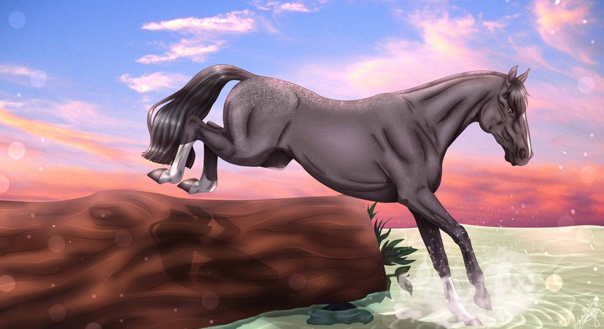 ambiguous_gender blue_sky brown_eyes cloud day feral grey_body grey_mane grey_tail leg_markings mane markings mouth_closed outside side_view sky socks_(marking) solo splash tail water white_markings scarlanya equid equine horse mammal female_(lore)