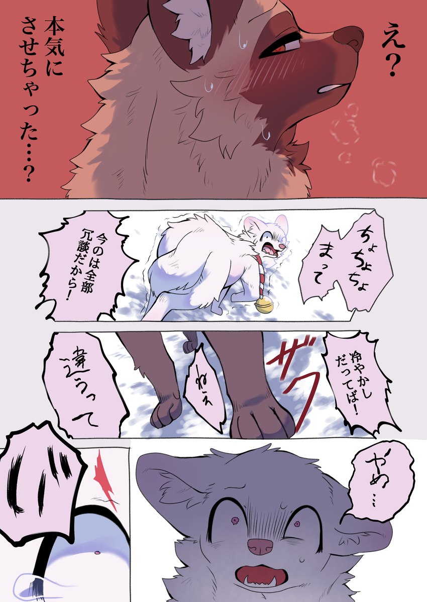 ambiguous_gender bell bell_collar black_nose blush bodily_fluids brown_body brown_ears brown_eyes brown_fur cheek_tuft collar dialogue duo facial_tuft feral fur gloves_(marking) inner_ear_fluff markings open_mouth pointy_ears prick_ears quadruped red_eyes running_away snow speech_bubble sweat tan_body tan_fur text tuft white_body white_fur white_inner_ear_fluff kurumilky6 hakuri_(kurumilky6) marimo_(kurumilky6) canid canine mammal raccoon_dog tanuki 2024 absurd_res comic digital_media_(artwork) hi_res japanese_text right_to_left translated