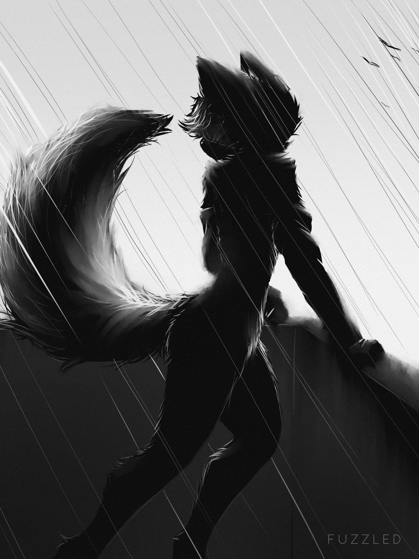 anthro arm_warmers armwear backlighting big_tail bridal_gauntlets clothed clothing concrete concrete_wall digitigrade ears_up female fur hair leaning leaning_forward leaning_on_railing light partially_clothed raining raised_tail silhouette sky solo tail tuft wall_(structure) wet fuzzledfur charlie_(fuzzledfur) avian bird canid canine fox mammal red_fox true_fox 2020 3:4 absurd_res black_and_white hi_res lighting monochrome signature smaller_version_at_source