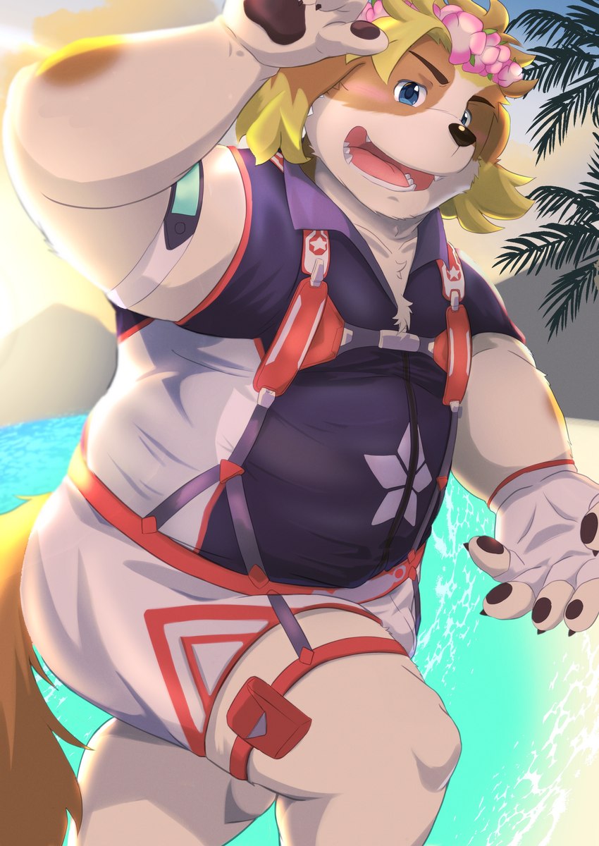 anthro beach blonde_hair blue_eyes blush flower flower_accessory flower_crown hair harness lei male pawpads plant seaside slightly_chubby solo sunset wetsuit nazebesu_hobby lifewonders live_a_hero hisaki_(live_a_hero) canid canine canis domestic_dog mammal absurd_res hi_res