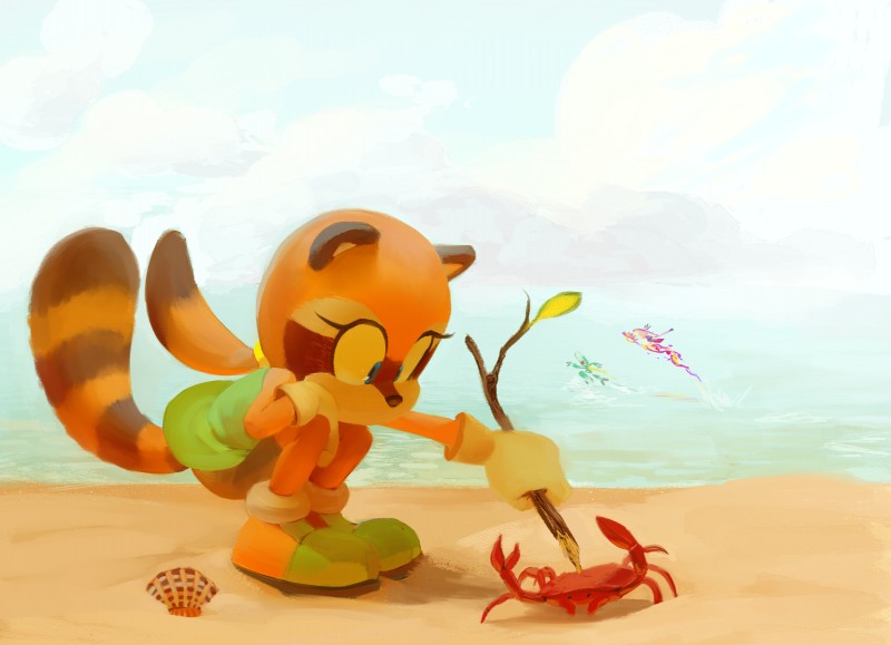 anthro beach butt clothed clothing crouching detailed_background duo_focus female feral group outside sand sea seashell seaside shell sky stick water knockabiller sega sonic_the_hedgehog_(series) marine_the_raccoon arthropod crab crustacean decapoda malacostracan mammal marine procyonid raccoon 2017 hi_res