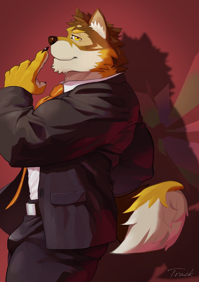 anthro belt clothing countershading looking_at_viewer male muscular muscular_anthro muscular_male necktie side_view smile solo suit toratruck9 lifewonders live_a_hero barrel_(live_a_hero) canid canine canis mammal wolf absurd_res hi_res