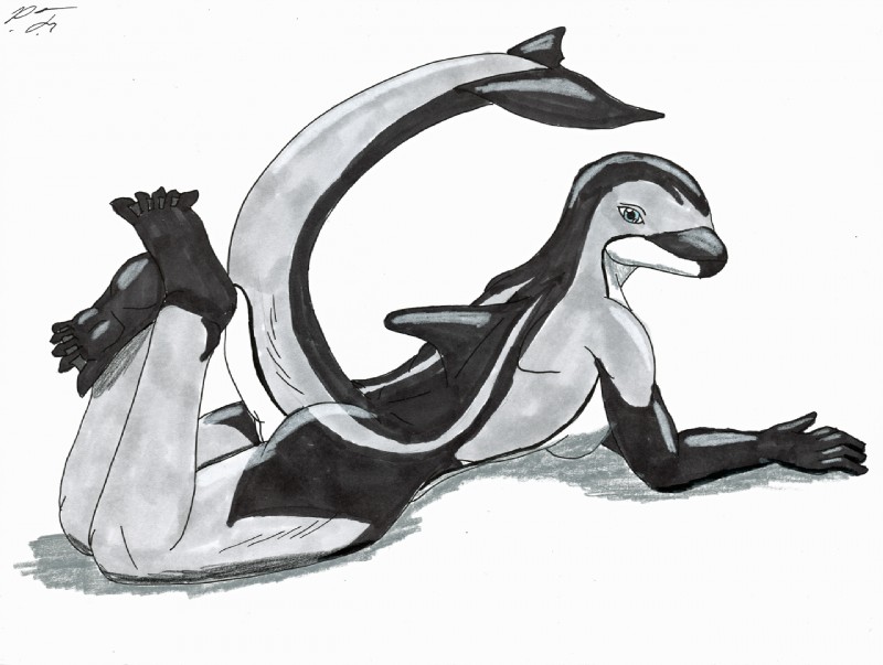 anthro biped female lounging lying pose raised_tail solo tail adleisio river_(adleisio) cetacean dolphin mammal marine oceanic_dolphin pacific_white-sided_dolphin toothed_whale white-sided_dolphin pinup