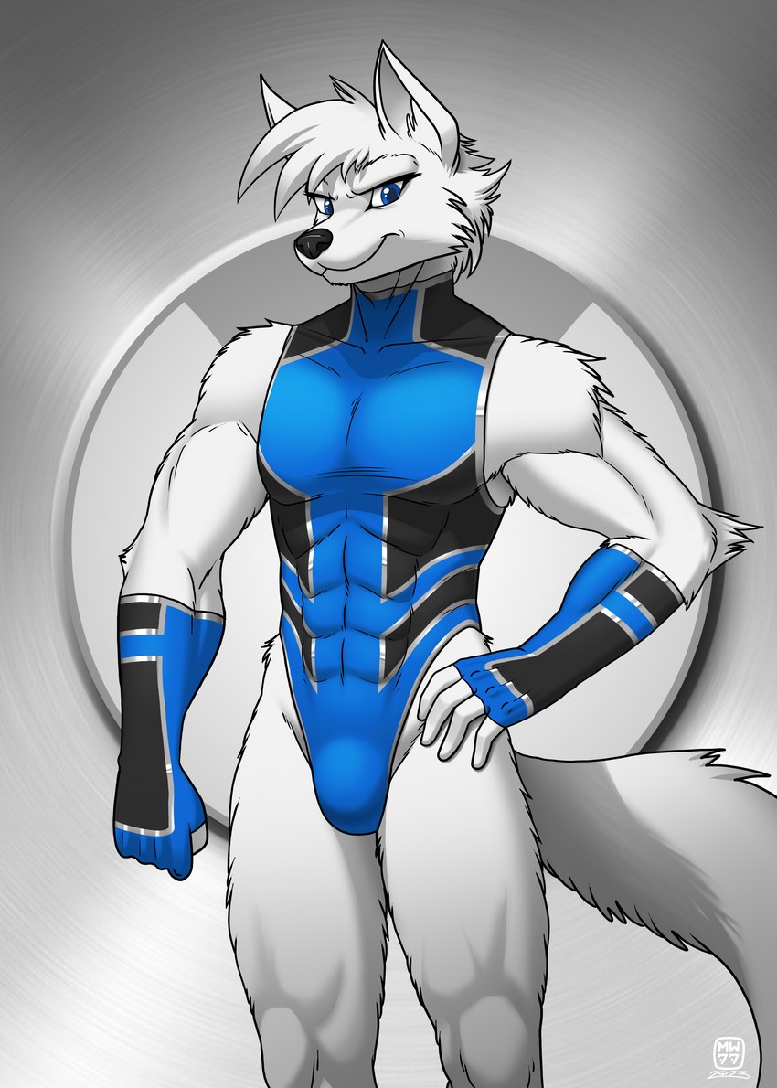 5_fingers abs anthro athletic athletic_anthro athletic_male bent_arm black_nose blue_clothing blue_eyes blue_fingerless_gloves blue_gloves blue_handwear blue_leotard clothed clothing fingerless_gloves fingers fur gloves hair handwear humanoid_hands leotard male solo standing white_body white_fur white_hair megawolf77 streak_(sansenite) canid canine fox mammal 2023 absurd_res hi_res