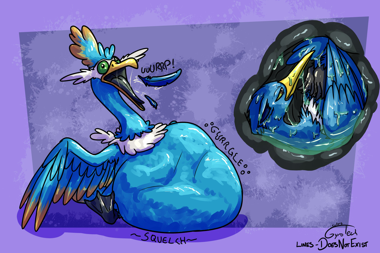 avian_feet beak blue_body bodily_fluids burping facial_markings feathered_crest feathered_wings feathers feet feral feral_pred feral_prey green_eyes head_crest head_markings internal male male_pred male_prey markings mask_(marking) membrane_(anatomy) organs stomach stomach_acid tail tail_feathers text toes vore webbed_feet white_markings wings yellow_markings doesnotexist gyrotech nintendo pokemon fan_character thunk_(gyro) avian cramorant generation_8_pokemon pokemon_(species) 3:2 english_text hi_res