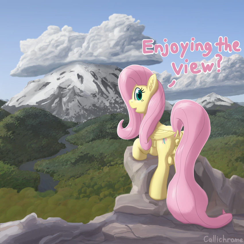 anatomically_correct anatomically_correct_anus anatomically_correct_genitalia anatomically_correct_vulva animal_genitalia animal_vulva anus big_teats butt casual_nudity crotch_breasts dock_(anatomy) equine_anus equine_genitalia equine_vulva female female_feral feral folded_wings genitals looking_at_viewer looking_back nipples outside rear_view solo tail teats text vulva wings callichrome friendship_is_magic hasbro my_little_pony mythology fluttershy_(mlp) equid equine mammal mythological_creature mythological_equine pegasus 1:1 hi_res