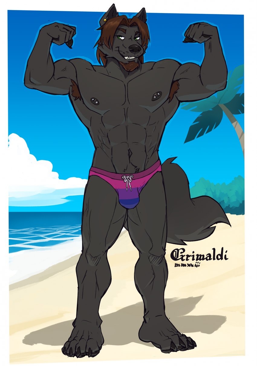 4_toes 5_fingers abs anthro armpit_hair barefoot beach beach_scene bedroom_eyes biceps big_chest bisexual_pride_colors black_claws black_nipples black_pawpads body_hair broad_shoulders brown_hair bulge cheek_tuft claws clothed clothing cloud day ear_piercing facial_hair facial_tuft feet finger_claws fingers fist flexing flexing_bicep flexing_both_biceps fluffy fluffy_tail goatee gold_piercing green_eyes greenery grin hair lgbt_pride long_hair looking_at_viewer male muscular muscular_anthro muscular_male narrowed_eyes navel nipple_piercing nipples outside palm_tree pawpads paws pecs piercing plant plantigrade pose pride_color_clothing pride_color_speedo pride_color_swimwear pride_colors pubes pupils roman_numeral sand sea seductive serratus sky slit_pupils smile solo speedo speedo_only standing swimwear swimwear_only tail teeth toe_claws toes toothy_grin topless tree triceps tuft water whisker_spots whiskers grimsvault yamato_iouko canid canine canis mammal wolf 2023 artist_name cel_shading digital_drawing_(artwork) digital_media_(artwork) hi_res shaded signature smaller_version_at_source