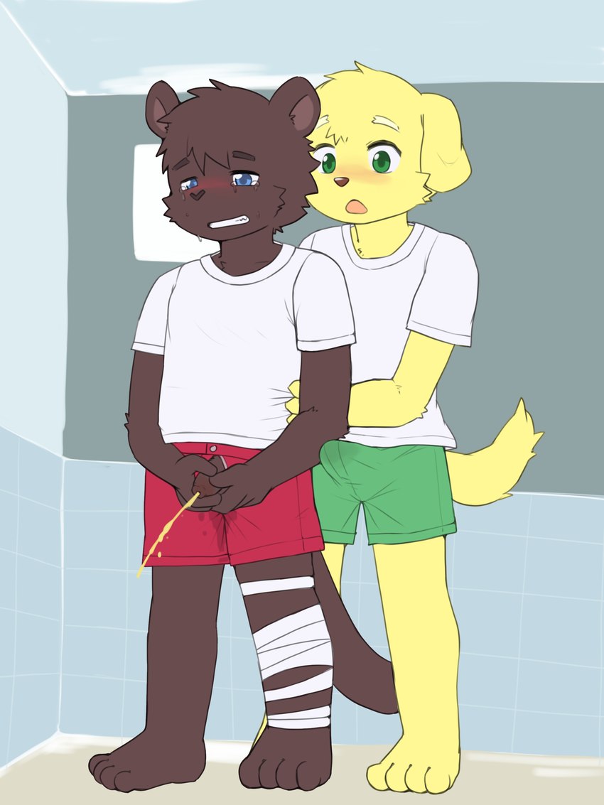 4_toes 5_fingers :o anthro anthro_on_anthro aroused assisted_peeing bandage bandaged_leg barefoot bathroom biped blonde_eyebrows blonde_hair blue_eyes blue_tile blue_wall blush bodily_fluids body_blush bottomwear brown_arms brown_body brown_ears brown_eyebrows brown_face brown_feet brown_fingers brown_foreskin brown_fur brown_hair brown_hands brown_inner_ear brown_legs brown_neck brown_nose brown_penis brown_tail brown_toes button_(fastener) ceiling clenched_teeth clothed clothed_male clothing clothing_grab crying duo embarrassed erection erection_under_bottomwear erection_under_clothing erection_under_shorts eyebrows feet fingers flaccid floor floppy_ears foreskin fully_clothed fully_clothed_anthro fully_clothed_male fur genital_fluids genitals green_clothing green_eyes grey_button_(fastener) hair helping holding_another holding_own_penis holding_partner holding_penis humanoid_feet humanoid_genitalia humanoid_hands humanoid_penis inside iris long_tail looking_at_another looking_at_another's_genitalia looking_at_another's_penis looking_at_genitalia looking_at_partner looking_at_partner's_genitalia looking_at_partner's_penis looking_at_penis lop_ears male male/male male_anthro matching_shirts monotone_body monotone_face monotone_feet monotone_fur monotone_genitals monotone_hair monotone_hands monotone_head monotone_inner_ear monotone_legs monotone_penis monotone_tail montone_arms narrowed_eyes open_mouth peeing penis penis_blush penis_poking_out penis_through_clothing penis_through_fly pink_mouth plantigrade precum precum_through_bottomwear precum_through_clothing precum_through_shorts pupils raised_eyebrows raised_inner_eyebrows red_bottomwear red_clothing red_shorts shirt shirt_grab short_tail shorts shota standing t-shirt tail tail_size_difference tan_floor tears tears_of_embarrassment teeth tile tile_wall toes topwear topwear_grab unretracted_foreskin urine urine_on_bottomwear urine_on_clothing urine_on_shorts urine_stream wall_(structure) wet wet_clothing white_bandages white_clothing white_shirt white_t-shirt white_topwear wide_eyed yellow_arms yellow_ears yellow_face yellow_feet yellow_fingers yellow_hands yellow_neck yellow_tail yellow_toes young young_anthro young_male young_on_young roo310 bird_dog canid canine canis domestic_dog golden_retriever hunting_dog mammal retriever 2024 3:4 absurd_res digital_media_(artwork) hi_res