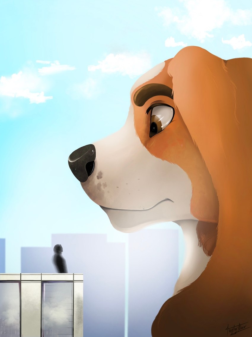 anthro black_nose brown_eyebrows brown_eyes building city city_background cloud day detailed_background duo eyebrows floppy_ears fur larger_anthro larger_male looking_down looming macro male micro orange_body orange_fur outside size_difference sky skyline skyscraper smaller_human white_body white_fur taylornoir eduk_(taylornoir) basset_hound canid canine canis domestic_dog foxhound human hunting_dog hybrid mammal scent_hound artist_name colored digital_drawing_(artwork) digital_media_(artwork) headshot_portrait hi_res portrait signature