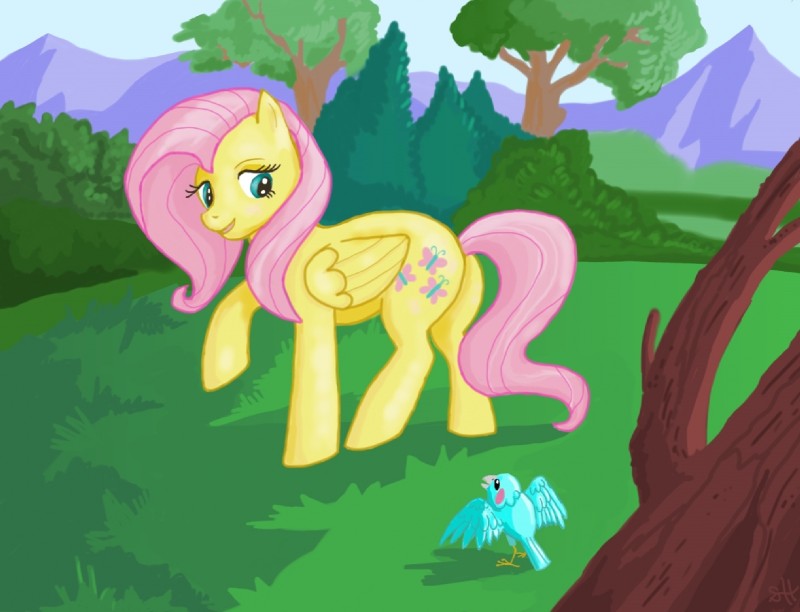 fluttershy (friendship is magic and etc) created by sorc