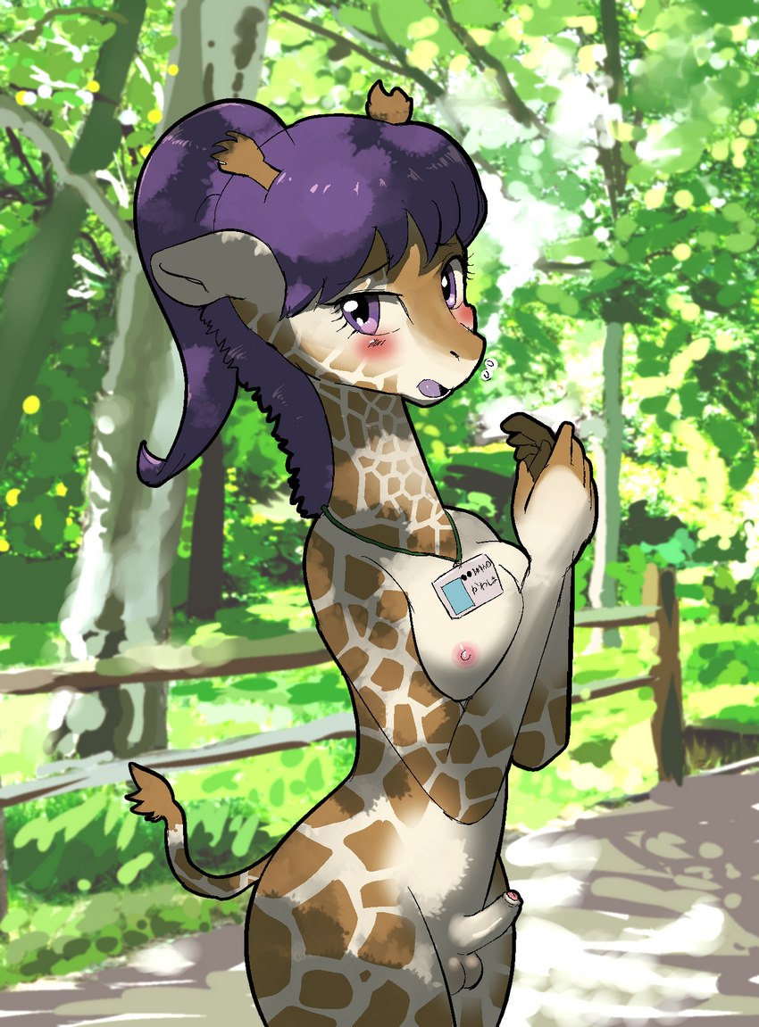 anthro balls blush breasts erection foreskin genitals gynomorph humanoid_genitalia humanoid_penis implied_transformation intersex looking_at_viewer nipples penis semi_public solo standing yajima giraffe giraffid mammal hi_res