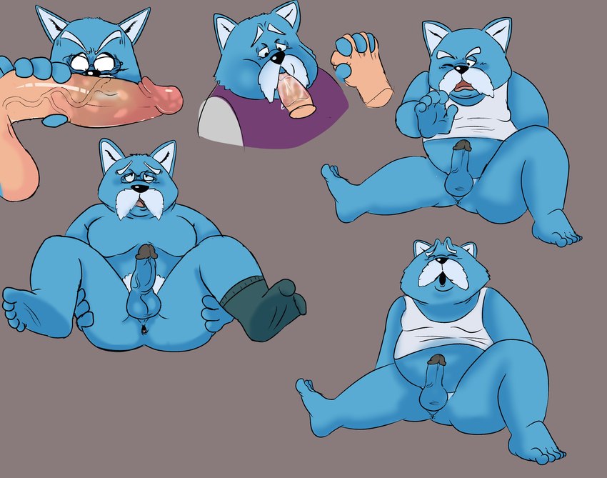 anthro balls blue_body clothing erection eyewear facial_hair genitals glasses humanoid_hands male male/male mustache one_eye_closed oral penis shirt simple_background sitting slightly_chubby solo topwear denki404 dragon_ball king_furry canid canine canis domestic_dog mammal 2024 hi_res multiple_images