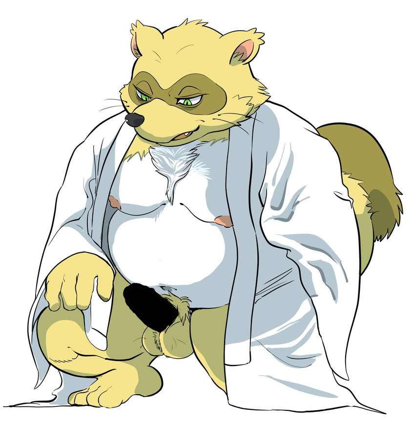 anthro balls belly brown_body brown_fur clothing erection fur genitals green_eyes kemono male moobs nipples overweight overweight_anthro overweight_male penis robe simple_background solo white_background hysk sengoku_puzzle tokugawa_ieyasu canid canine mammal raccoon_dog tanuki 2020 censored hi_res