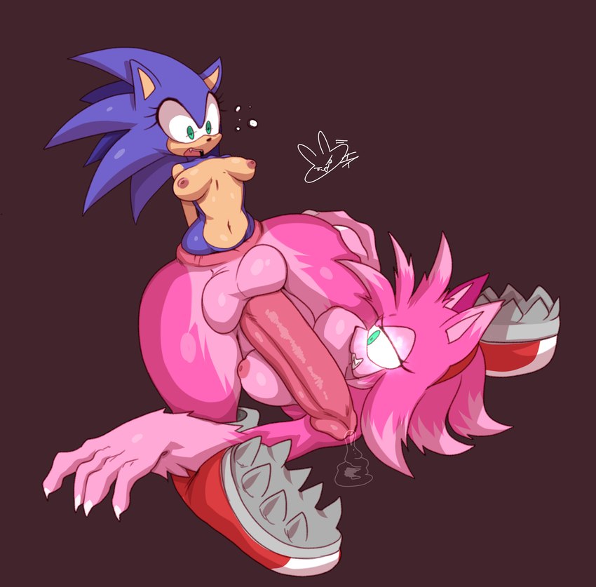 amy rose, amy rose the werehog, and sonic the hedgehog (sonic the hedgehog (series) and etc) created by jaynatorburudragon