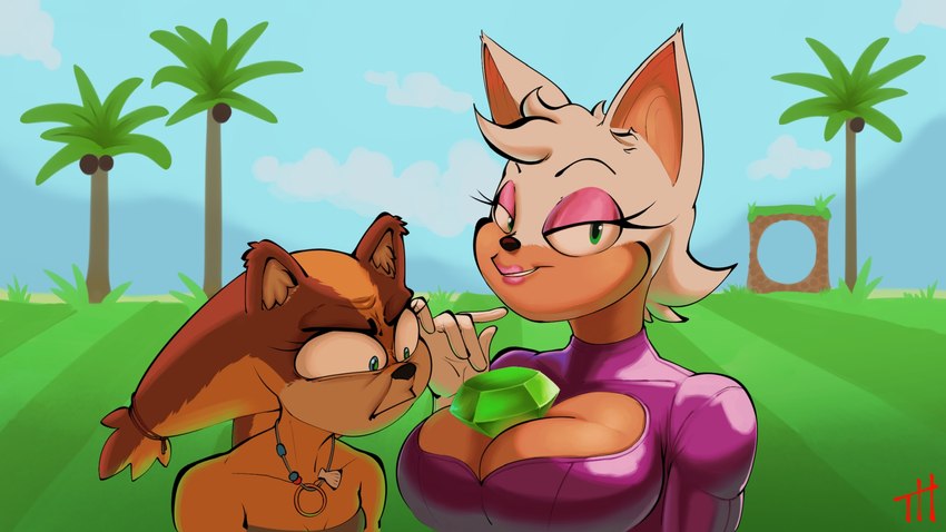 anthro breasts chaos_emerald clothed clothing duo female gem green_eyes jewelry looking_at_another looking_at_another's_breasts looking_at_breasts looking_at_viewer necklace object_between_breasts outside thingshappen sega sonic_boom sonic_the_hedgehog_(series) rouge_the_bat sticks_the_jungle_badger badger bat mammal mustelid musteline 2022 hi_res