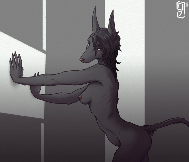 5_fingers anthro black_hair breasts female fingers fur grey_body grey_fur hair leaning_on_wall nipples nude solo standing sunkenshrines mahvashi_(lolzguy) canid canine canis jackal mammal 2018 digital_media_(artwork)