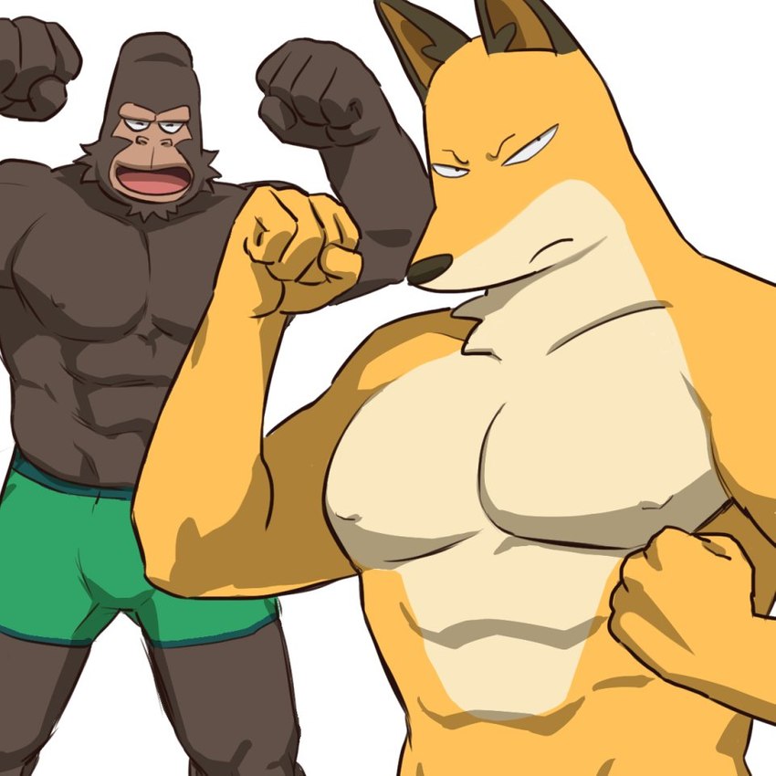 abs anthro clothing duo flexing frown male muscular nipples pecs simple_background smile underwear butu_z odd_taxi ayumu_gouriki_(odd_taxi) fuyuki_yamamoto_(odd_taxi) ape canid canine fox gorilla haplorhine mammal primate 1:1