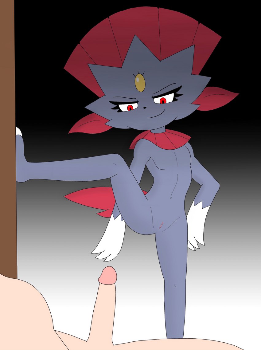 anthro claws dominant dominant_female duo female flat_chested foot_on_wall genitals gradient_background imminent_sex interspecies lying male male/female on_one_leg one_leg_up penis pussy raised_leg simple_background standing roguecolonel303 nintendo pokemon generation_4_pokemon human mammal pokemon_(species) weavile absurd_res hi_res