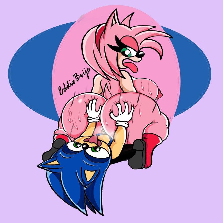 amy rose and sonic the hedgehog (sonic the hedgehog (series) and etc) created by eddiebrije