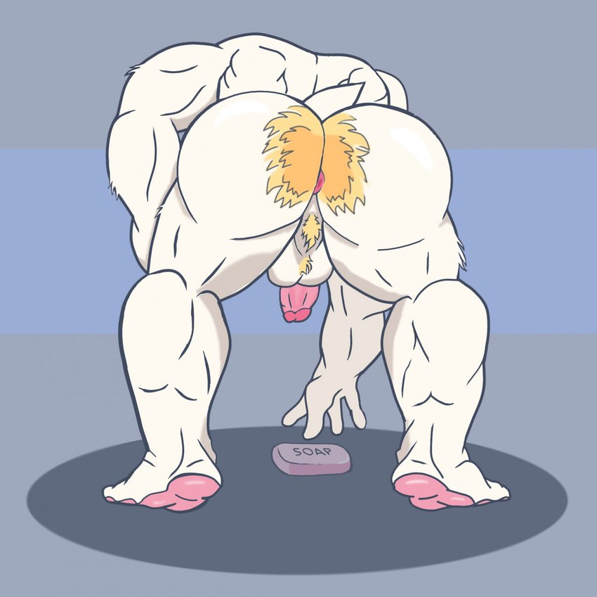 anthro anus backsack balls blonde_hair body_hair butt_hair fur genitals hair hairy male muscular muscular_anthro muscular_male no_faces nude penis perineum perineum_hair rear_view soap solo white_body white_fur jon_noj undertale undertale_(series) asgore_dreemurr bovid caprine goat mammal hi_res