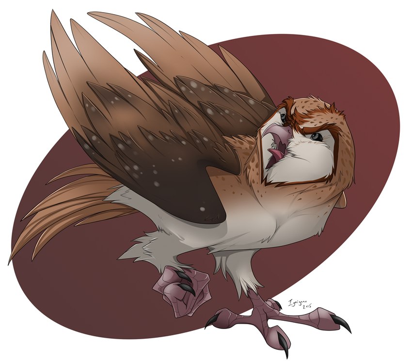 ambiguous_gender black_eyes brown_body brown_feathers feathers feet feral open_mouth simple_background solo talons toes white_background white_body white_feathers ignigeno guardians_of_ga'hoole kludd 2015 male_(lore)