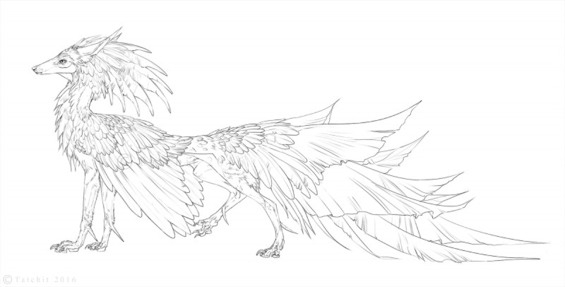 ambiguous_gender black_line_art feathers feral quadruped side_view solo standing nukerooster feonix digital_drawing_(artwork) digital_media_(artwork) full-length_portrait hi_res line_art portrait sketch