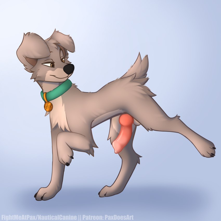 scamp (lady and the tramp 2 and etc) created by nauticalcanine