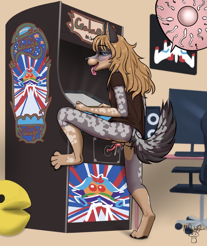 anatomically_correct anatomically_correct_genitalia anatomically_correct_pussy animal_genitalia animal_pussy anthro arcade_machine artificial_insemination black_claws blue_eyes blush bodily_fluids bottomless brown_clothing brown_pussy brown_shirt brown_t-shirt brown_topwear butt canine_genitalia canine_pussy chair claws clothed clothing cum cum_from_pussy cum_in_pussy cum_inside cum_splatter desk detailed_background digitigrade electronics feet female fluffy fluffy_tail furniture gaming_while_penetrated genital_fluids genitals glistening glistening_hair gloves_(marking) hair impregnation improvised_sex_toy inside internal joystick knotting leg_markings looking_pleasured markings masturbation monitor office_chair open_mouth open_smile ovum pawpads paws penetration poster pussy raised_leg rear_view sex_toy sex_while_gaming shirt shirt_only smile socks_(marking) solo sperm_cell spots t-shirt t-shirt_only table tail tan_hair toes tongue tongue_out topwear topwear_only toying_self vaginal vaginal_knotting vaginal_masturbation vaginal_penetration white_spots young young_anthro young_female mushbun galaga pac-man_(series) cassy_(jackiethebunny) pac-man australian_cattle_dog canid canine canis cattledog domestic_dog herding_dog mammal pastoral_dog 2022 absurd_res hi_res