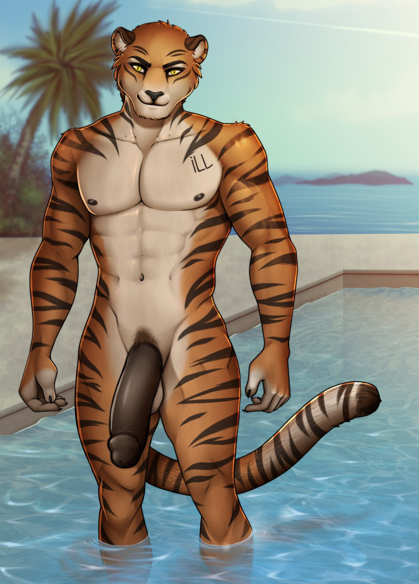 5_fingers anthro balls black_stripes fingers fur genitals legs_in_water male orange_body orange_fur partially_submerged penis smile solo standing standing_in_water striped_body striped_fur stripes submerged_legs yellow_eyes robyn_paperdoll kay_black_(furrygodzane) felid mammal pantherine tiger 2020 digital_media_(artwork) hi_res