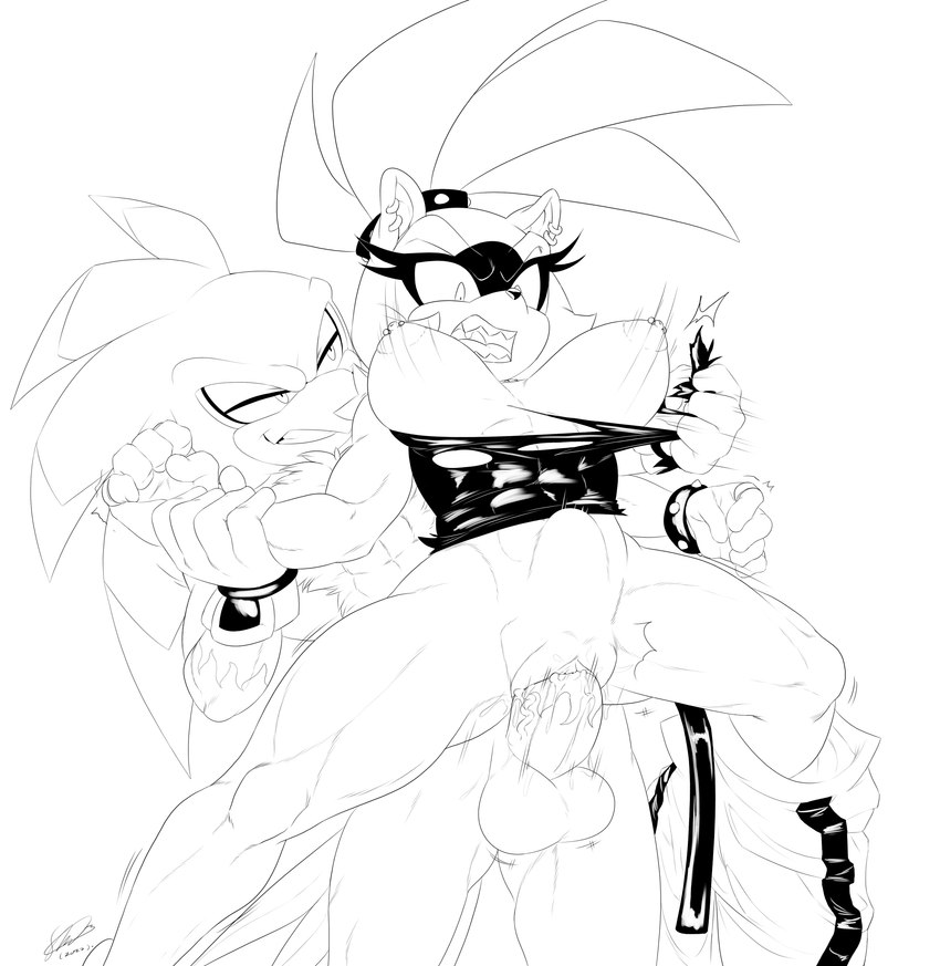 jet the hawk and surge the tenrec (sonic the hedgehog (comics) and etc) created by soina