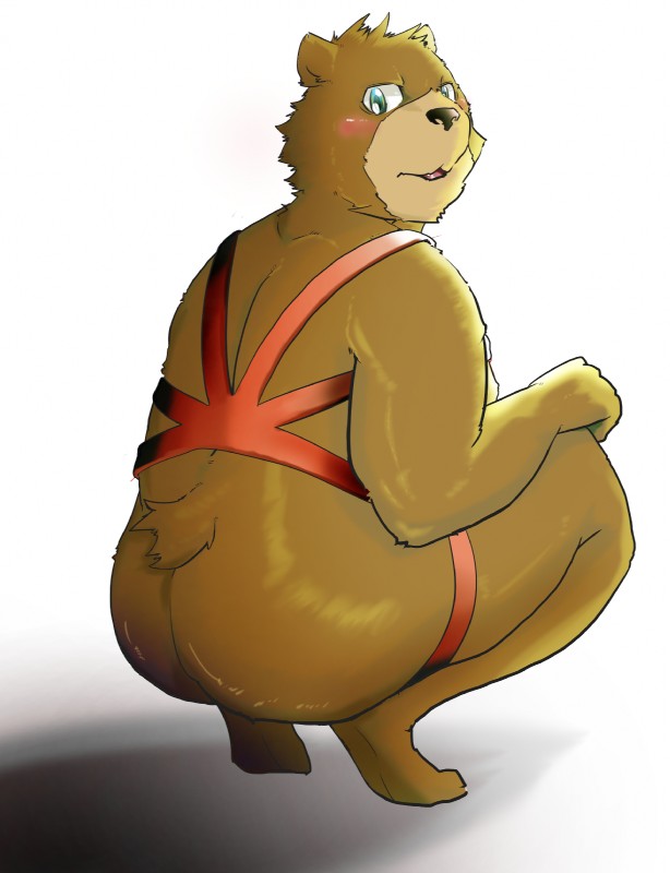 anthro barefoot biped black_nose blush brown_body brown_fur butt clothing crouching feet fur hand_on_leg harness looking_at_viewer looking_back male muscular muscular_anthro muscular_male nude rear_view simple_background solo teal_eyes three-quarter_view white_background kogiinu bear mammal digital_media_(artwork) full-length_portrait hi_res portrait