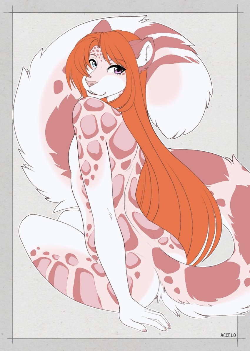 anthro blue_eyes butt colored_nails femboy fur hair heterochromia long_hair long_tail looking_at_viewer looking_back male markings nails orange_hair pink_body pink_fur pink_nose pose purple_eyes seductive simple_background sitting skinny smile solo spots spotted_markings tail accelo accelo_(character) clouded_leopard felid hybrid mammal pantherine snow_leopard hi_res pinup watermark