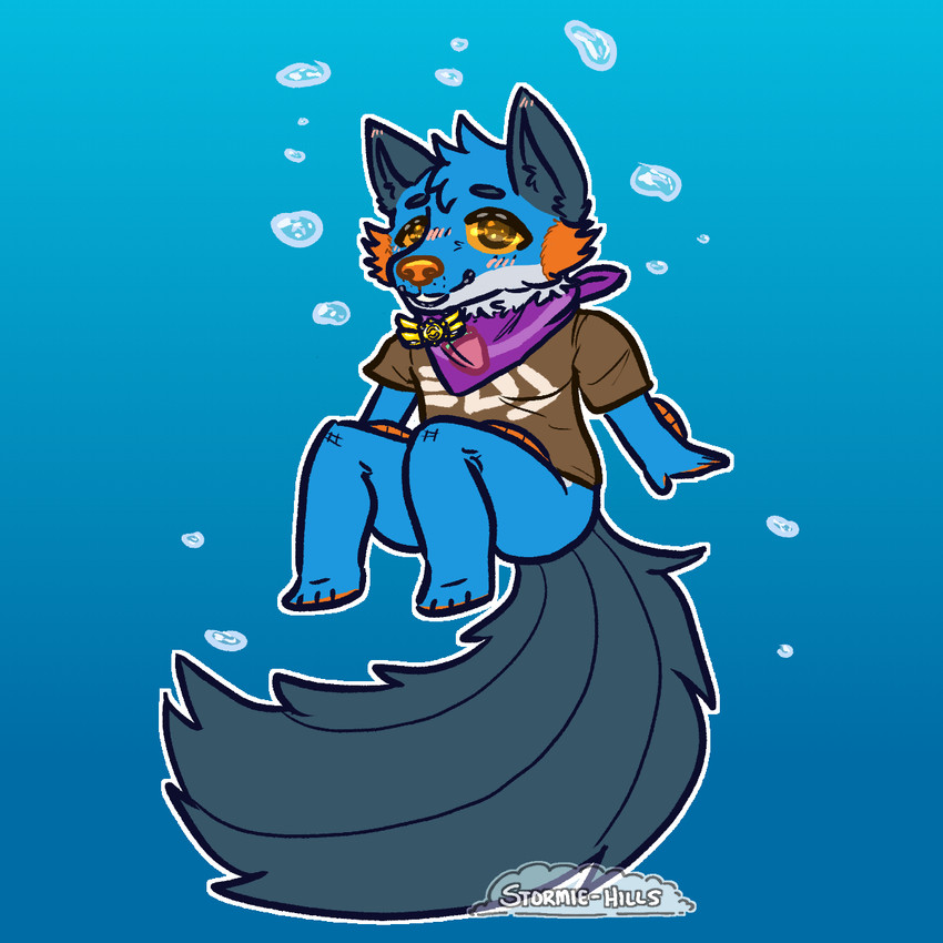 anthro badge big_tail blue_background blue_body blue_fur bottomless bottomless_male brown_clothing brown_shirt brown_topwear bubble chibi clothed clothing fin floating food fruit fur gradient_background head_tuft male orange_body orange_eyes orange_gills orange_nose orange_pawpads orange_scales pawpads persim_berry persim_scarf plant pokemon_berry scales shirt simple_background smile solo tail tail_fin topwear tuft stormiehills nintendo pokemon pokemon_mystery_dungeon spike_chunsoft splatoon xevy amphibian canid canine canis generation_3_pokemon hybrid mammal pokemon_(species) swampert wolf 1:1 hi_res