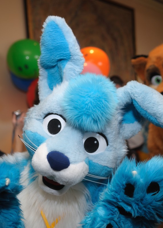 ambiguous_gender anthro blue_hair buckteeth clothing costume fursuit group hair looking_at_viewer open_mouth pose real solo_focus teeth whiskers char_(photographer) equal lagomorph leporid mammal rabbit absurd_res hi_res