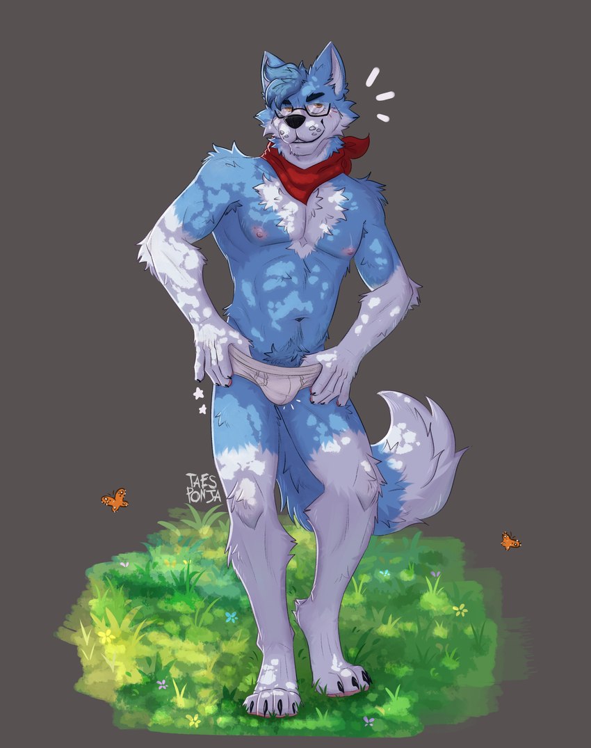 4_toes 5_fingers anthro armpit_hair blue_body blue_fur blue_hair blush body_hair briefs brown_eyes bulge clothed clothing eyewear feet fingers fur glasses grass hair kerchief looking_at_viewer male neckerchief neckwear nipples partially_clothed pawpads paws plant simple_background smile solo tail toes underwear underwear_down wearing_glasses white_briefs white_clothing white_underwear taesponja arthropod butterfly canid canine fox insect lepidopteran mammal absurd_res digital_drawing_(artwork) digital_media_(artwork) hi_res shaded