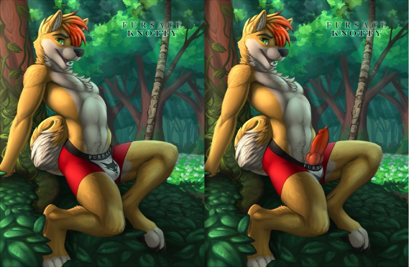 abs anthro barefoot biped boxer_briefs clothed clothing detailed_background erection fangs feet forest fur genitals hair knot male muscular muscular_anthro muscular_male navel outside pecs penis plant presenting red_clothing red_underwear shadow sharp_teeth sitting smile solo tail teeth text tongue topless tree underwear vallhound julius_(warg) canid canine canis domestic_dog husky mammal nordic_sled_dog spitz 2015 digital_media_(artwork) english_text multiple_versions