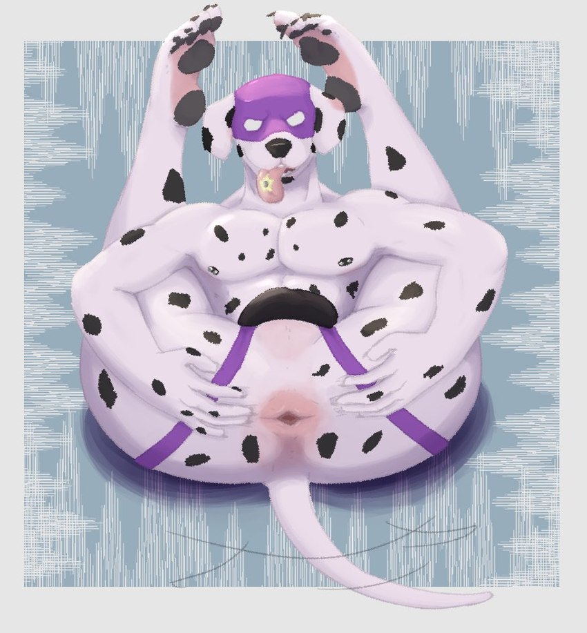 anthro anus black_spots clothing jockstrap male solo spots spread_anus spreading tongue tongue_out underwear white_body prawlls echo_project glory_hounds alex_de_rooij canid canine canis dalmatian domestic_dog mammal