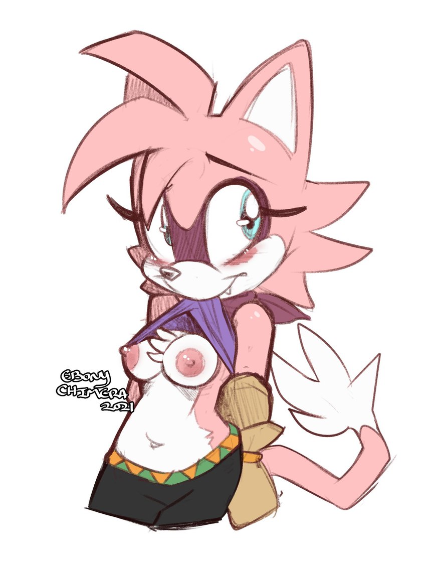 anthro blue_eyes blush breasts chest_tuft clothed clothing clothing_lift cute_fangs fangs female flashing fur navel nipples pink_body pink_fur presenting presenting_breasts shirt shirt_in_mouth shirt_lift simple_background smile solo teeth topwear tuft conditional_dnp ebonychimera sega sonic_the_hedgehog_(series) fan_character sensh_the_cat domestic_cat felid feline felis mammal hi_res sketch