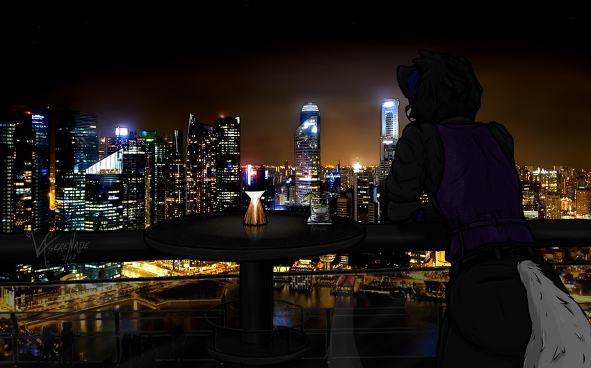 ambiguous_gender anthro beverage bottomwear city cityscape clothed clothing facing_away_from_viewer night pants singapore skyline solo suit text topwear vest vxserenade vexxus_(vxserenade) arctic_fox canid canine fox mammal true_fox draw_over english_text hi_res