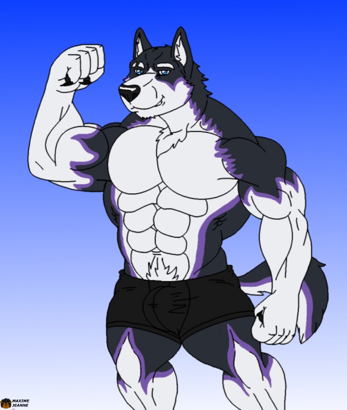 abs anthro biceps big_muscles biped black_body black_fur black_nose blue_eyes briefs bulge clothed clothing flexing fur gradient_background grin looking_at_viewer male muscular muscular_anthro muscular_male pecs pose purple_body purple_fur simple_background smile solo standing swimming_trunks swimwear topless underwear white_body white_fur wrestler maxime-jeanne sebastian_king canid canine canis domestic_dog husky mammal nordic_sled_dog spitz hi_res portrait three-quarter_portrait