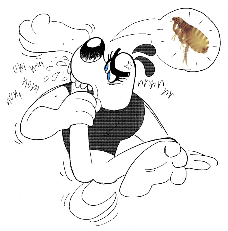 anthro bite blue_eyes bottomless breasts clothed clothing crossgender eyelashes female flea-ridden large_nose real shirt solo teeth topwear kaboozey nickelodeon t.u.f.f._puppy dudley_puppy ambient_flea arthropod canid canine canis domestic_dog flea insect mammal 2019 hi_res