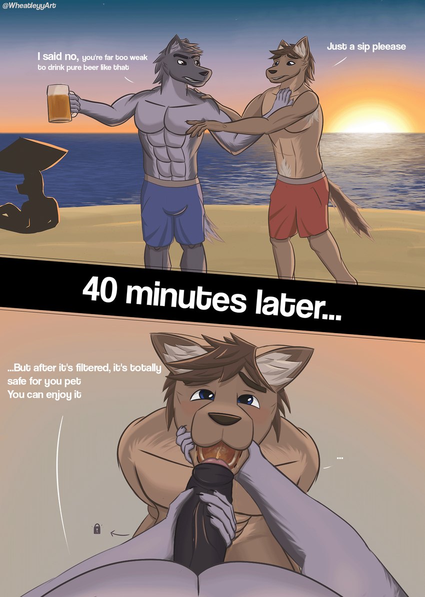 abs alcohol angry anthro armpit_hair athletic athletic_anthro athletic_male beach beer beer_mug begging beverage blue_eyes blush bodily_fluids body_hair brown_body brown_eyes brown_fur brown_hair clothed clothing dialogue dominant dominant_male dominant_pov drinking drinking_urine duo eye_contact first_person_view forced foreskin fur genital_fluids genitals grey_body grey_fur grey_hair hair half-erect humanoid_genitalia humanoid_penis humiliation kneeling light looking_at_another looking_at_viewer male male/male muscular muscular_anthro muscular_male nude outside pecs peeing penis sky standing submissive submissive_male sudden sunlight sunset swimming_trunks swimwear tail text topless topless_male urine urine_in_mouth urine_stream vein veiny_penis watersports wheatleyy canid mammal comic english_text hi_res sequence