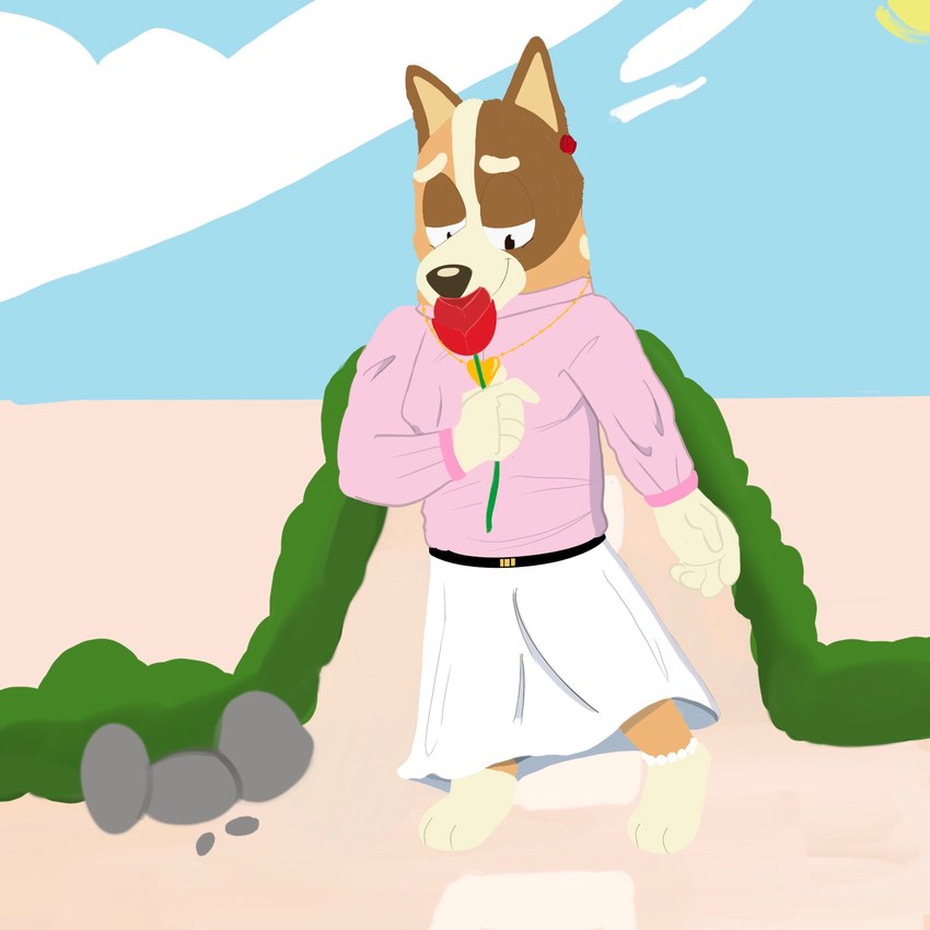 anklet anthro black_eyes bottomwear brown_body brown_ears brown_fur brown_nose clothed clothing cloud dress female flower fur half-closed_eyes happy heart_locket holding_flower holding_object holding_rose jewelry locket looking_at_flower looking_at_object looking_at_plant multicolored_body multicolored_fur narrowed_eyes orange_body orange_fur pink_clothing pink_sweater pink_topwear plant rock rose_(flower) smelling_flower smile sniffing solo sun sweater topwear white_bottomwear white_clothing white_dress beargarbage bluey_(series) chilli_heeler australian_cattle_dog canid canine canis cattledog domestic_dog herding_dog mammal pastoral_dog 1:1 2023 digital_media_(artwork) hi_res