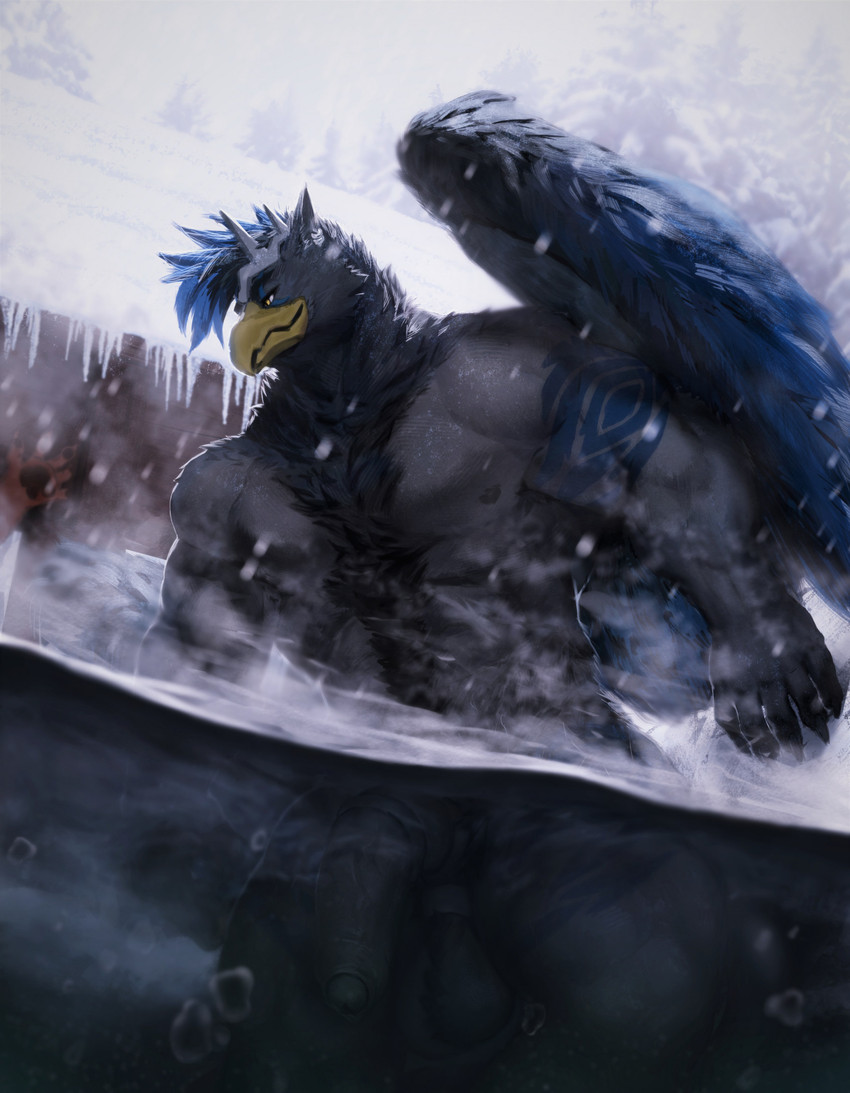 anthro balls beak black_hair blue_hair blue_markings blue_wings cheek_tuft facial_tuft feathered_wings feathers front_view genitals grey_balls grey_body grey_penis hair half-erect male male_anthro markings mouth_closed multicolored_hair muscular muscular_anthro muscular_male neck_tuft nipples nude outside partially_submerged penis solo tuft two_tone_hair wings yellow_beak yellow_eyes dust_yang avian hi_res