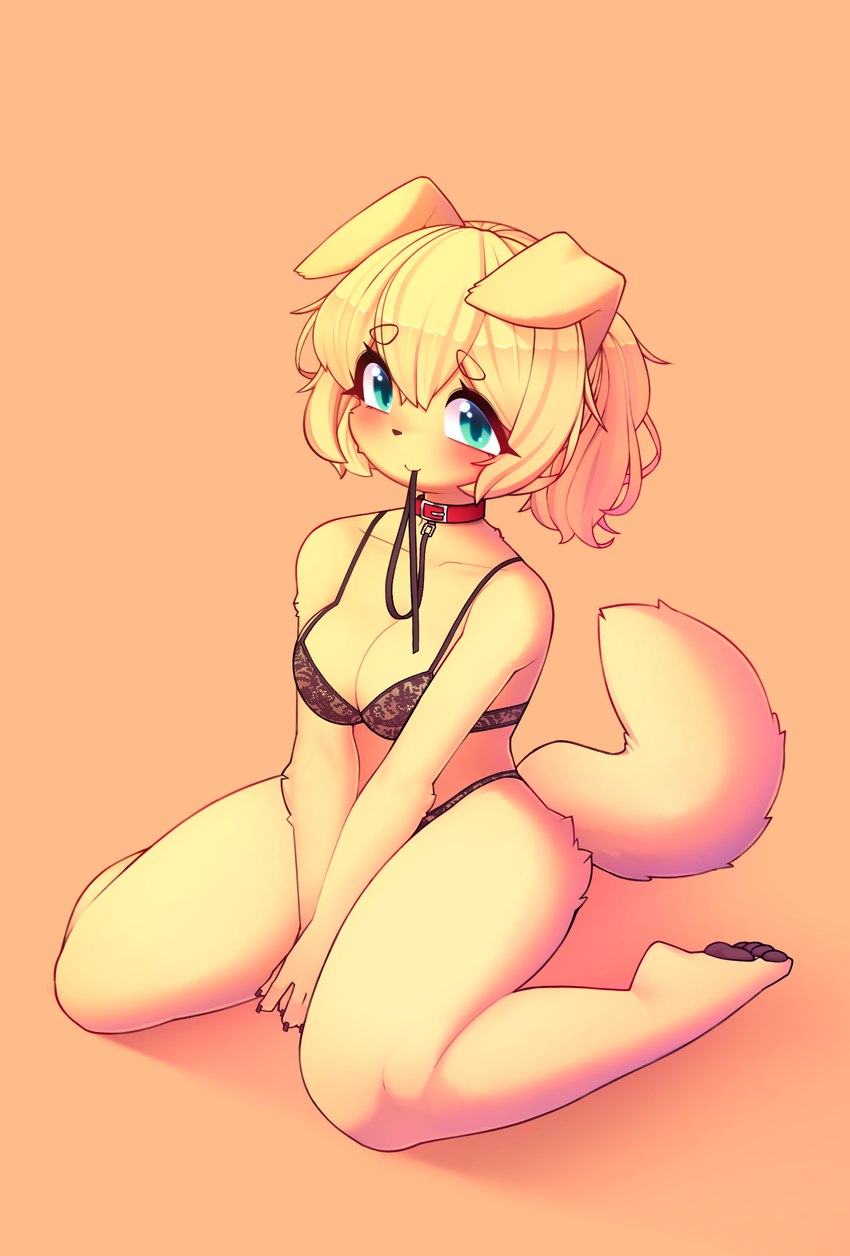 anthro blonde_hair blush breasts collar female female_anthro fur green_eyes hair kemono leash leash_in_mouth leash_in_own_mouth looking_at_viewer object_in_mouth red_collar smile solo yellow_body yellow_fur jupiter_europe belle_(jupiter_europe) canid canine canis domestic_dog mammal 2023 absurd_res hi_res