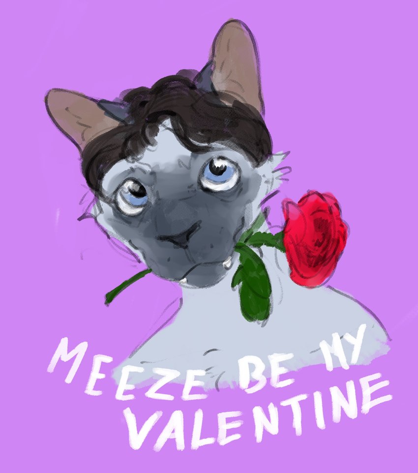 anthro blue_eyes brown_hair flower flower_in_mouth fur grey_body grey_fur hair holidays looking_at_viewer male multicolored_body multicolored_fur overbite_fang plant rose_(flower) rose_in_mouth solo two_tone_body two_tone_face two_tone_fur valentine's_day_card banoncat valentine's_day banoncat_(character) domestic_cat felid feline felis mammal siamese 2024 bust_portrait hi_res portrait