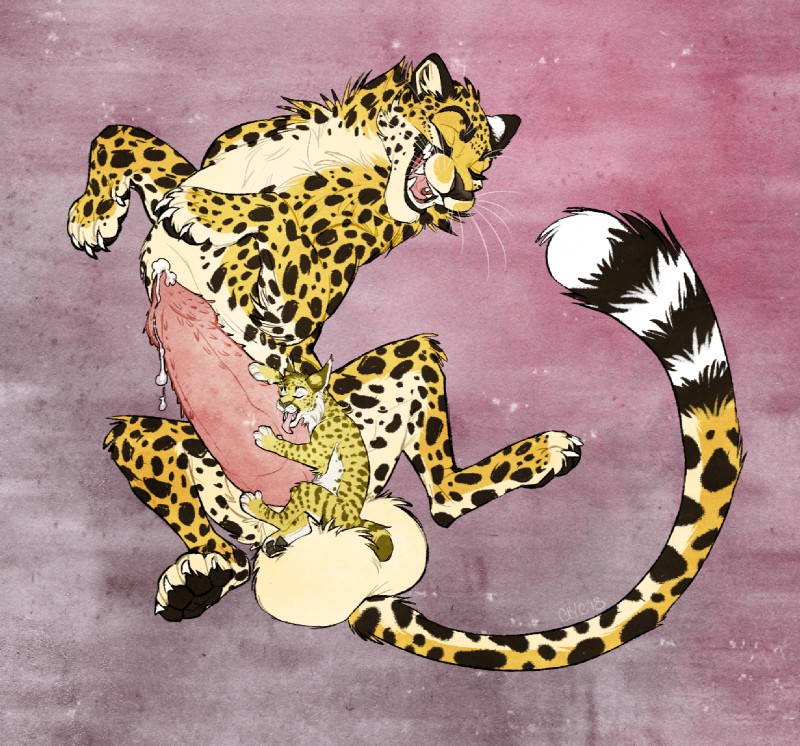 animal_genitalia animal_penis balls big_balls big_penis bodily_fluids cum duo feline_genitalia feline_penis female feral genital_fluids genitals handjob huge_balls hyper hyper_balls hyper_genitalia licking male male/female penile penile_spines penis sex size_difference spots tongue tongue_out catinyourcloset jasiri cheetah felid feline lynx mammal